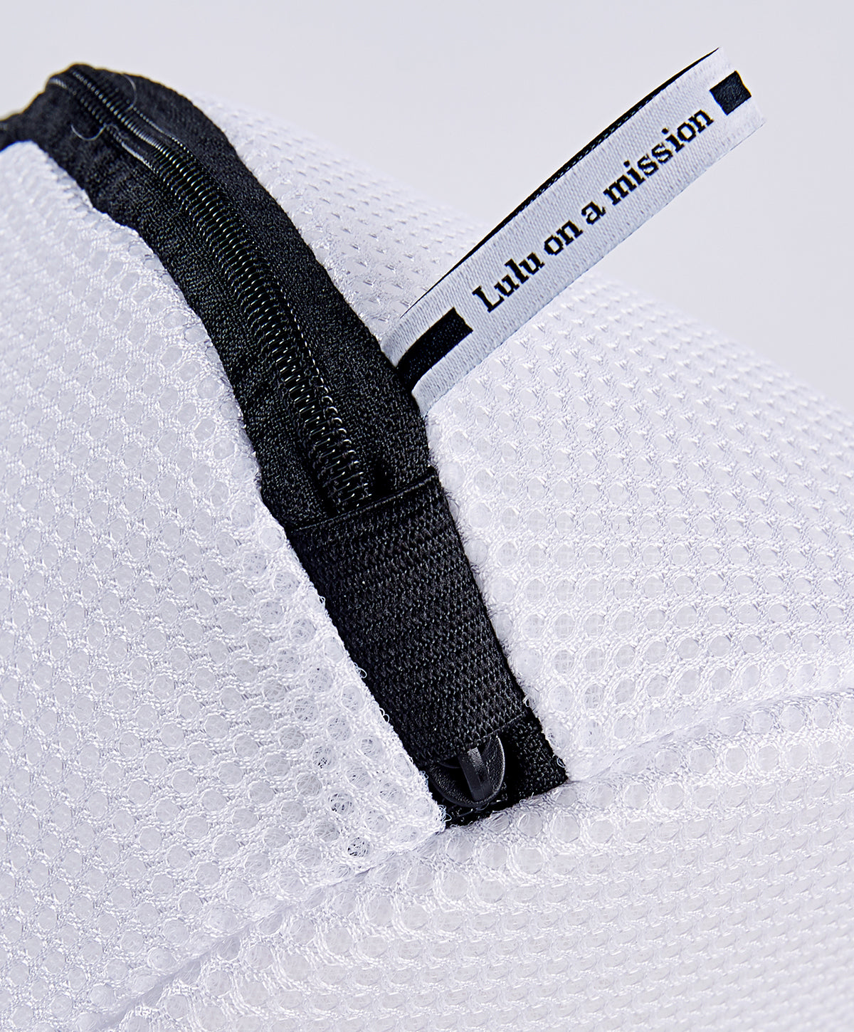 Lingerie Washing Bag